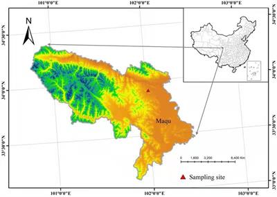 Grazing during the grassland greenup period promotes plant species richness in alpine grassland in winter pastures